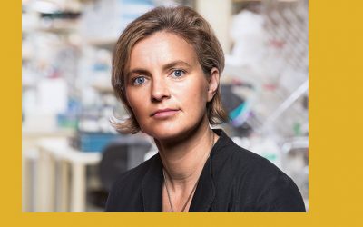 Clodagh O’Shea wins competitive grant from faculty scholars program