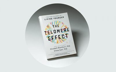 <em>The Telomere Effect</em>