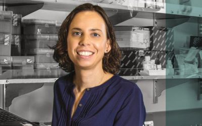 An interview with Diana Hargreaves