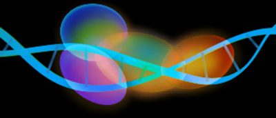 finding-way-around-dna