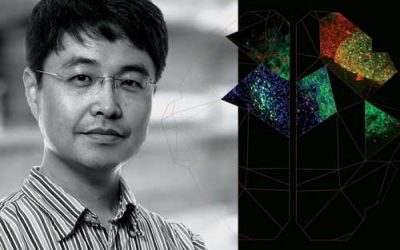 Sung Han was destined for Salk
