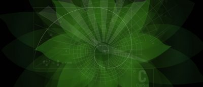 study-shines-a-light-into-black-holes-in-the-arabidopsis-genome
