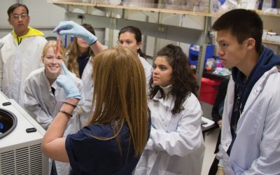 The Heithoff-Brody Summer Scholars program