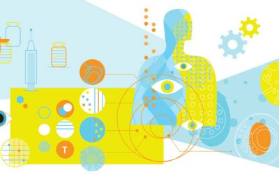 The immune system: a question of balance