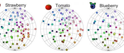 mathematical-model-reveals-map-odors-natural-environment