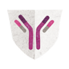 immune-system-biology