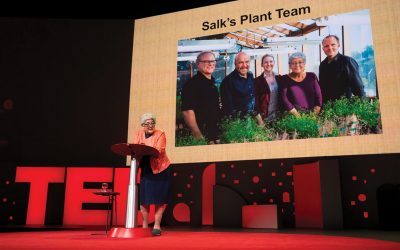 Salk Institute initiative to receive more than $35 million to fight climate change