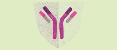 new-target-for-autoimmune-disease-could-enable-therapies-with-fewer-side-effects