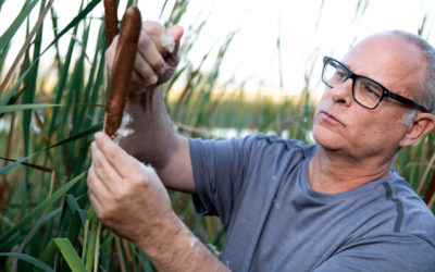 Joseph Noel – Learning from Lagoons