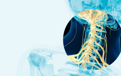 Salk neuroscientists garner major awards to investigate the brain and spinal cord