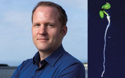 Wolfgang Busch promoted to professor