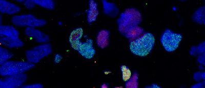 understanding-early-cell-development