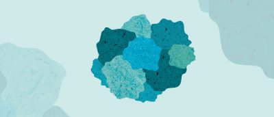 location-location-location-the-cell-membrane-facilitates-ras-protein-interactions