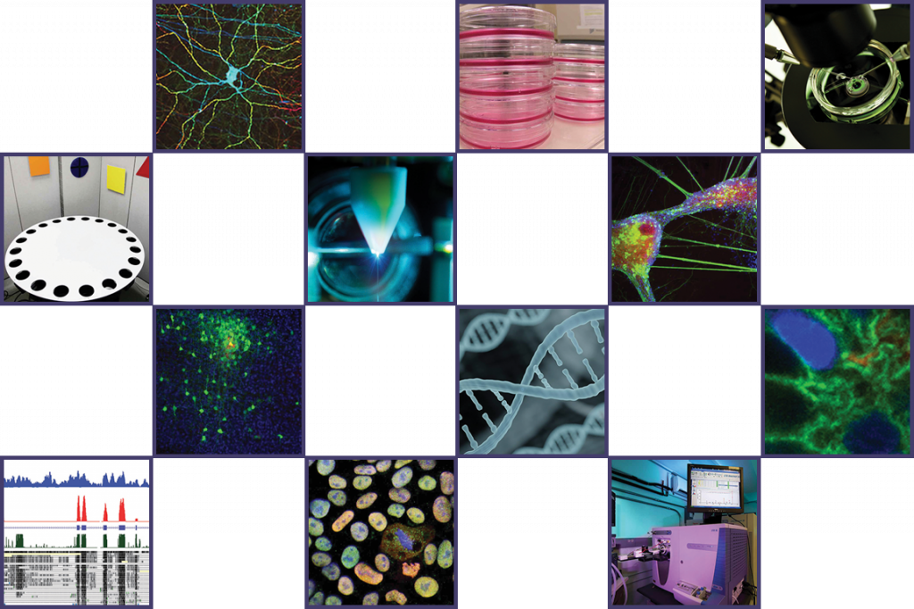 2020winter-frontiers-collaborative-wide