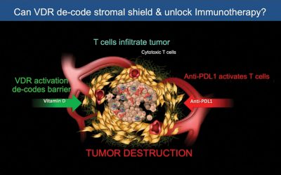 Power of science: conquering pancreatic cancer