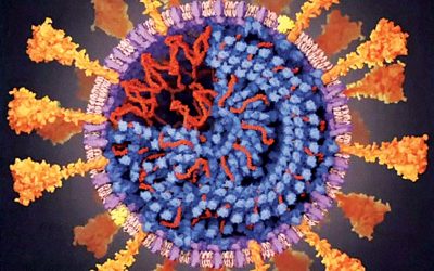 Salkexcellerators get expert view on COVID-19 vaccinations