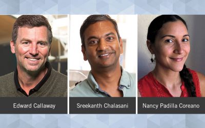 Neuroscientists receive $4.4 million from NIH BRAIN Initiative