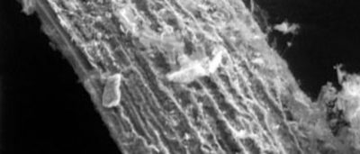 transforming-atmospheric-carbon-into-industrially-useful-materials