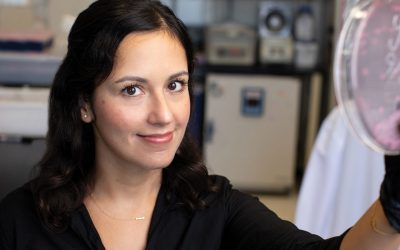 Katia Troha—Discovering diets that boost survival during infection