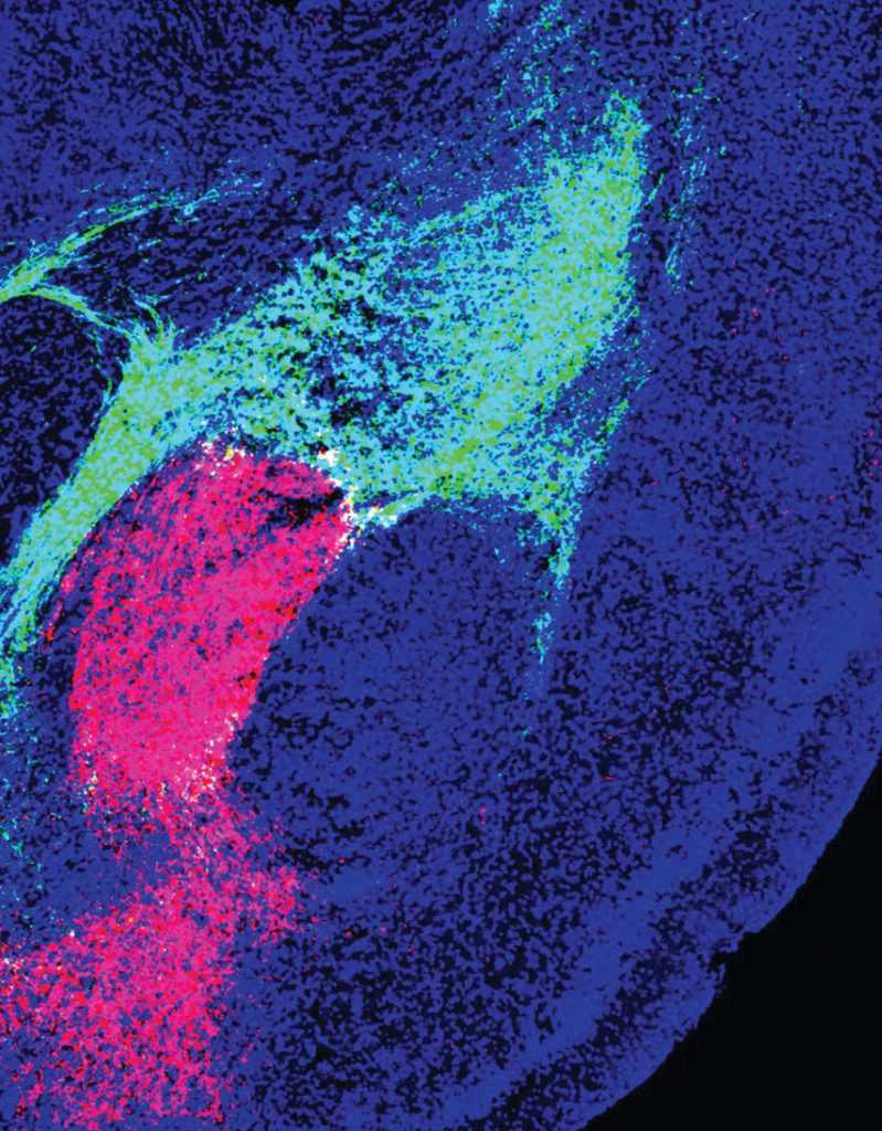 22-winter-resolution-microscopy