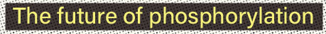 The future of phosphorylation