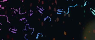 microprotein-increases-appetite-in-mice