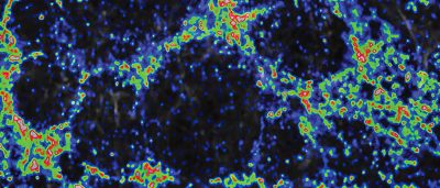 cracking-the-case-of-mitochondrial-repair-and-replacement-in-metabolic-stress