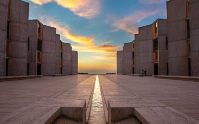 Salk promotes five faculty members in genetics, structural biology, immunobiology, and neuroscience