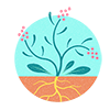 plant-biology