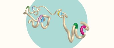genetic-architecture-may-be-key-to-using-peacekeeping-immune-cells-to-treat-autoimmunity-or-fight-cancer