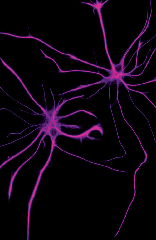 24-fall-frontiers-astrocytes