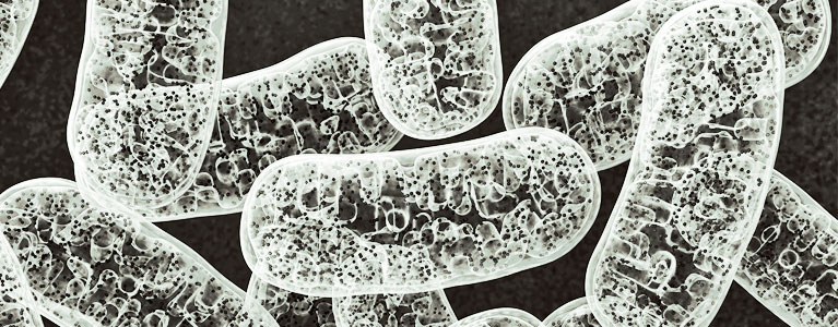 24-fall-frontiers-mitochondria