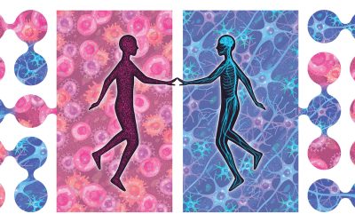 Connecting the dots—From the immune system to the brain and back again