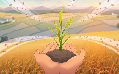 Seeds of change: The Harnessing Plants Initiative is scaling a new kind of crop that could save the future of farming—and the planet